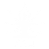 logo-branco